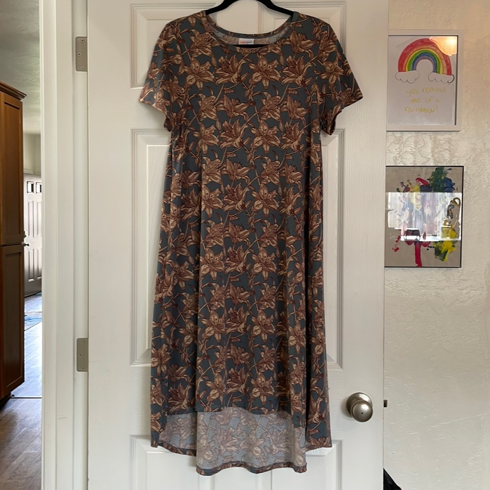 LuLaRoe Carly Dress